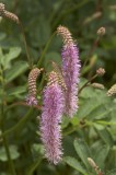CFGb839.jpg 73866