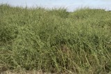 CFGb904.jpg 74049