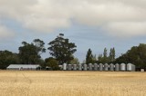 CFGb913.jpg 64550
