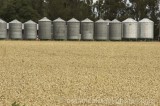 CFGb914.jpg 64551