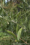 CFGbc07.jpg 80337
