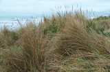 CFGbc35.jpg 80365