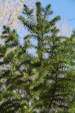 CFGbe55.jpg 80585
