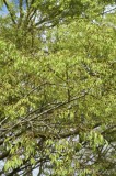 CFGbi22.jpg 80952