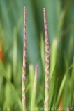 CFGbi34.jpg 80964