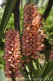 CFGbi96.jpg 81026