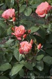 CFGbp49.jpg 81679