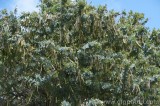 CFGbp69.jpg 81699