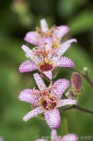 CFGbw44.jpg 82374