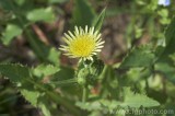CFGbw65.jpg 82395