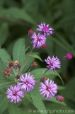 CFGbx58.jpg 82489