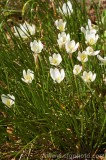 CFGbx89.jpg 82520
