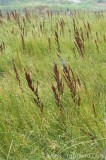 CFGbz39.jpg 82670