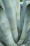 CFGcc45.jpg 82976