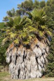 CFGcf13.jpg 83244