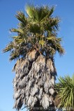 CFGcf14.jpg 83245