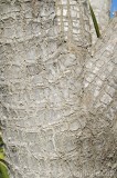 CFGcg63.jpg 83394
