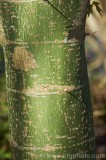 CFGcj07.jpg 83638