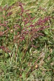 CFGcj75.jpg 83706