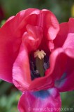 CFGcl95.jpg 83926