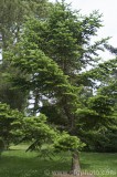 CFGcp78.jpg 84309