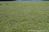 CFGcq06.jpg 84337