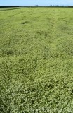 CFGcq07.jpg 84338