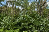 CFGcq87.jpg 84419