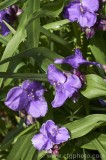 CFGcq93.jpg 84425