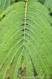 CFGcw38.jpg 84970