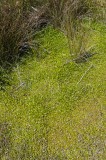 CFGcz78.jpg 85310