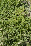 CFGcz90.jpg 85322