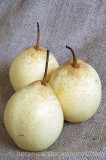 CFGd366.jpg 60597