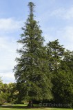 CFGdi26.jpg 86159