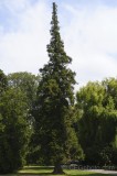 CFGdi28.jpg 86161