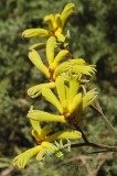 CFGdi52.jpg 86185