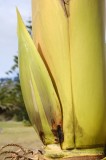 CFGdj75.jpg 86308