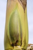 CFGdj76.jpg 86309
