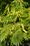 CFGdn38.jpg 86671