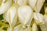 CFGdn43.jpg 86676