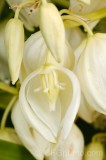 CFGdn44.jpg 86677