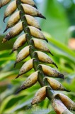 CFGdn45.jpg 86678