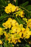 CFGdr65.jpg 87098