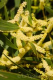 CFGds34.jpg 87167