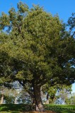 CFGdt10.jpg 87243