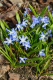 CFGdt47.jpg 87280