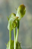 CFGdt67.jpg 87300