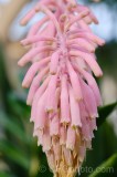 CFGdt77.jpg 87310