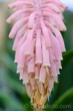 CFGdt78.jpg 87311