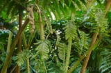 CFGdt84.jpg 87317